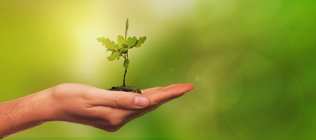 POURQUOI UN CABINET DE RECRUTEMENT DANS L'AGRICULTURE ET L'AGROALIMENTAIRE DOIT-IL ADOPTER UNE STRATÉGIE RSE ? UN ENGAGEMENT ESSENTIEL POUR LE SECTEUR