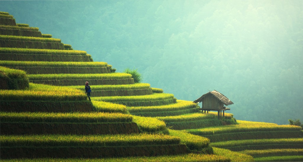 CREATION D'UNE FILIALE A SINGAPOUR